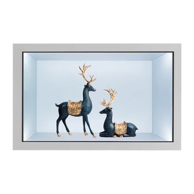 21Vitrina LCD transparente de 5 pulgadas con pantalla táctil capacitiva y gabinete de pantalla digital de brillo de 2000 nits